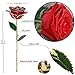 MNIEYU Gold Rose 24k Gold Dipped Rose Everlasting Long Stem Real Rose Exquisite Holder, Unique Romantic Gift Valentine's Day Forever Rose, Anniversary, Mother's Day Birthday Gift