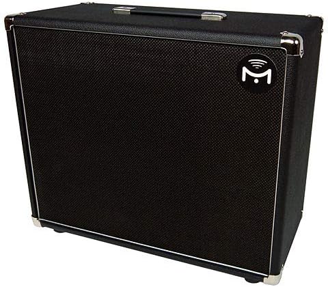Mission Engineering Gemini GM-1P · Guitar Cabinet