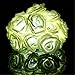 KINGSO 20 LED Battery Operated Rose Flower String Lights Wedding Garden Christmas Decor (White)