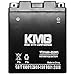 Battery Compatible with Kawasaki 400 KAF400 Mule 600 610 2005-2012 YTX14AH-BS Sealed Maintenance Free Battery High Performance 12V SMF OEM Replacement Powersport Motorcycle ATV Scooter Snowmobile