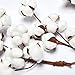 VGIA 5FT Natural Cotton Christmas Garland - Adjustable Stems - Farmhouse Rustic Decor - Wedding Decoration