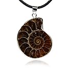 Amandastone 35-40mm Natural Ammonite Fossil Stone Gemstone Charms Pendant Necklaces Vintage style
