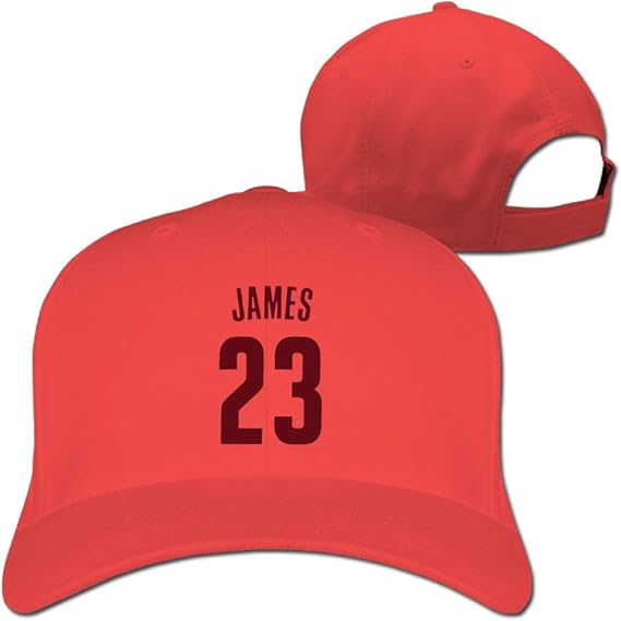 lebron james new era cap