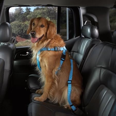amazon dog car harness