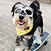 Dog Goggles to Protect Eyes - Stylish Dogs UV Sunglasses for Small to Medium Breed - White