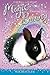 Dancing Days #5 (Magic Bunny)