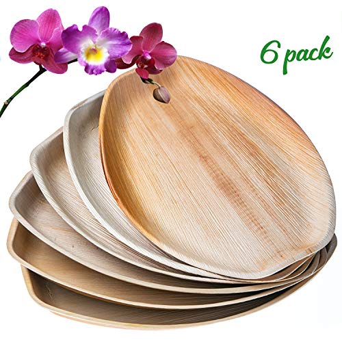 KIKI Green Palm Leaf Serving Platters 15 x 10 Inch Heavy Duty Compostable Serving Trays for Parties, Bamboo Trays Chemical Free Pack of 6