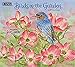 Birds in the Garden 2018 Calendar: Free Bonus Download 12 Images Desktop Wallpaper by 