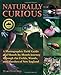 Naturally Curious: A Photographic Field Guide and Month-by-Month Journey Through the Fields, Woods, and Marshes of New England