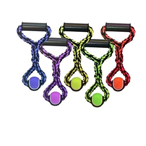 Multipet Nuts for Knots Rope Tug with Tennis Ball, 20"