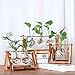 Kingbuy Desk Accessories Glass Planter Bulb Vase with Retro Solid Wooden Stand and Metal Swivel Holder for Office Desk Wedding Decor with Retro Wooden Stand (1 Bulb Vase)thumb 4