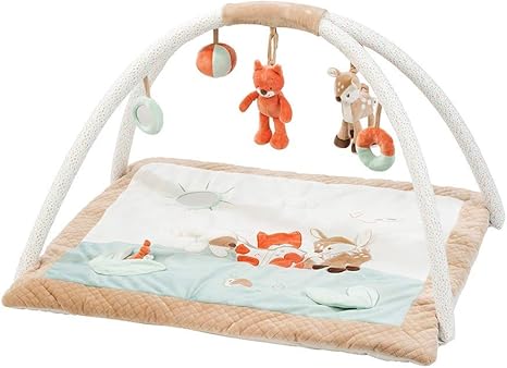 nattou baby gym
