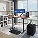 FlexiSpot E2B Standing desk Sit Stand Desk Home Office Adjustable Desk Frame