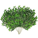 CEWOR 24pcs Italian Ruscus Greenery Stems, 27.6in