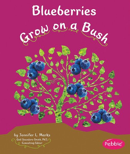 Download Blueberries Grow on a Bush (How Fruits and Vegetables Grow)