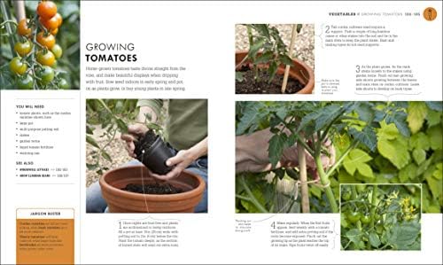 Beginner Gardening Step by Step: A Visual Guide to Yard and Garden ...
