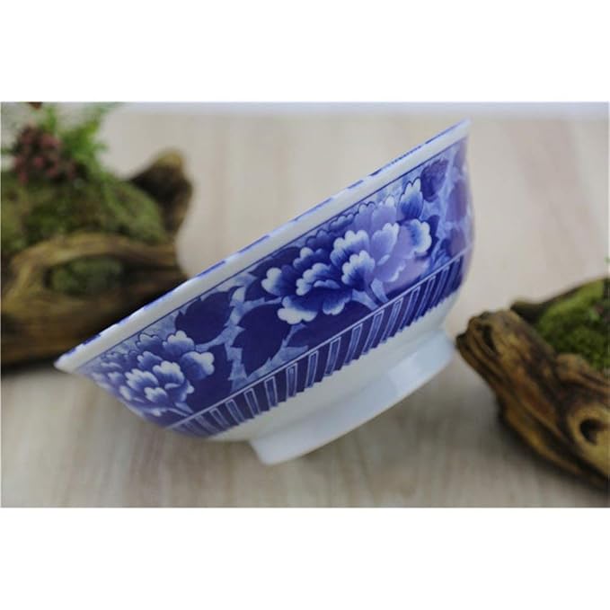 16LYP Gran Sopa de Fideos Ramen tazón de Frutas Ensalada de Pasta ...