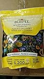 Burpee Wildflower Bag Pollinator Mix