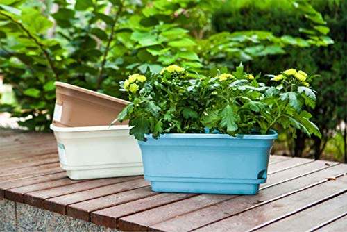 Macetas De Hormigón Con Riego Automático - Para Suculentas, Plantas De Interior, Regalo Perfecto