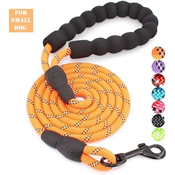 BAAPET 5 FT Strong Dog Leash with Comfortable Padded Handle and Highly Reflective Threads Dog Leashes for Medium and Large Dogs (Small (1-Pack), Orange)