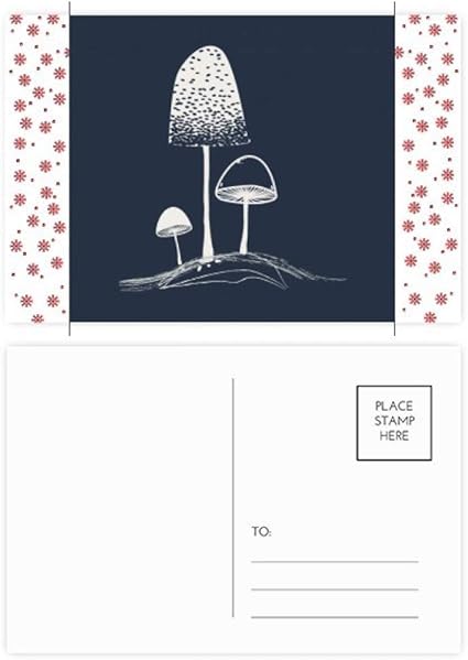 Amazon かわいい漫画のキノコイラスト クリスマス クリスマス 花のお祝い ポストカード 祝福 郵送カード ポストカード 絵柄付はがき 文房具 オフィス用品 Amazon かわいい漫画のキノコイラスト クリスマス クリスマス 花のお祝い ポストカード 祝福 郵送カード ポストカード 絵柄付はがき 文房具 オフィス用品