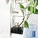 Set of 2 Wall Mounted Clear Glass Terrariums Hanging Flower Vase Square Tube Air Plant Jar