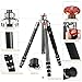 K&f Concept Carbon Fiber Camera Tripod 4 Section 61 Inch with Load Capacity 26.46lbs Monopod for Camera DSLR DV Canon Nikon Sony