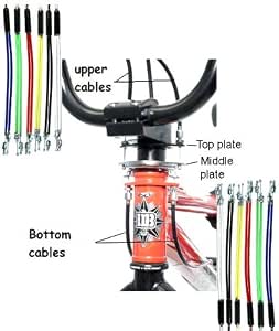 SAVAGE Standard V - Rotor para Bicicleta BMX : Amazon.es: Deportes y aire  libre