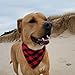 WORDERFUL Dog Bandana Bibs Pet Plaid Scarf Triangle Head Scarfs Accessories Neckerchief for Small and Medium Dog (Plaid, M)