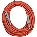 Seismic Audio - SASTSX-25 - 25 Foot TS 1/4