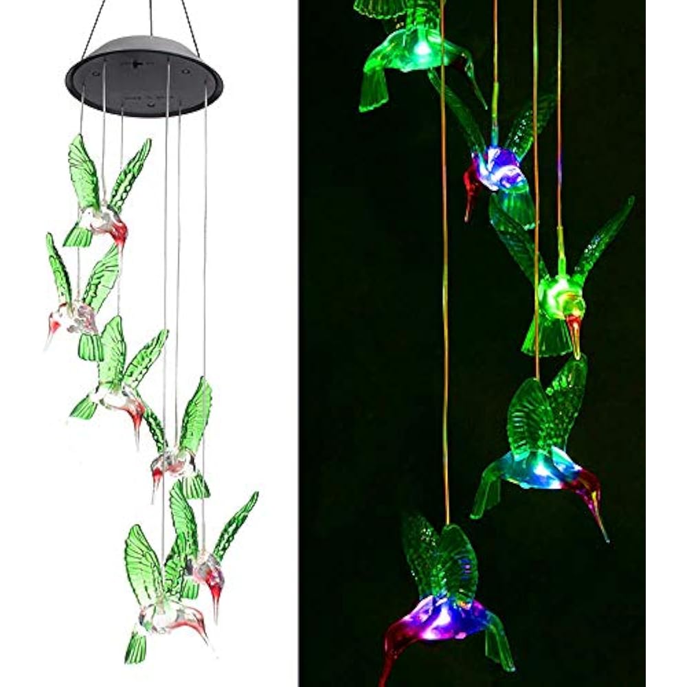 hummingbird string lights