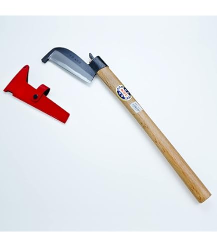 Amazon.com : AZUMASYUSAKU