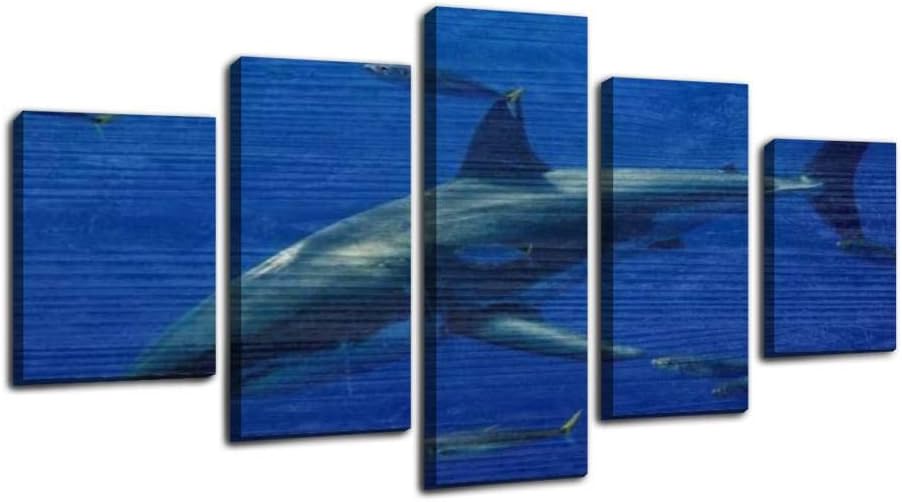 cage diving with great white sharks in guadalupe, mexico great white Framed Art Wall Painting Pictures Canvas Prints Gallery Wrapped Poster Home Office Living Room Wall Decor Ready to Hang 5 Panel