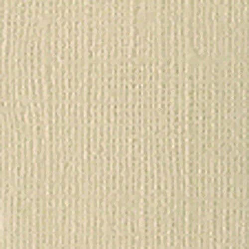 Bazzill Basics Paper 25 ScrapBooking Sheets Canvas Texture, Twig