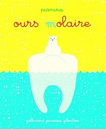 Ours molaire