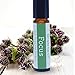 Focus Essential Oil Blend Roll-On Bottle by Simply Earth - 10ml, 100% Pure Therapeutic Grade