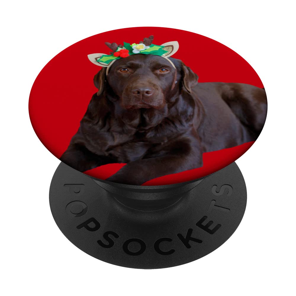 Chocolate Lab Shirt Cute Labrador Dog Image Funny Christmas PopSockets Swappable PopGrip