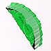 Besra Huge 102inch Dual Line Parachute Stunt Kite with Flying Tools 2.6m Power Parafoil Kitesurfing Training Kites Outdoor Fun Sports for Beach (102inch Green)