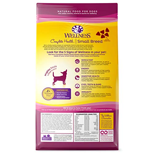 Wellness Complete Health Natural Dry Small Breed Senior Dog Food, Turkey & Peas, 4-Pound Bag - //medicalbooks.filipinodoctors.org