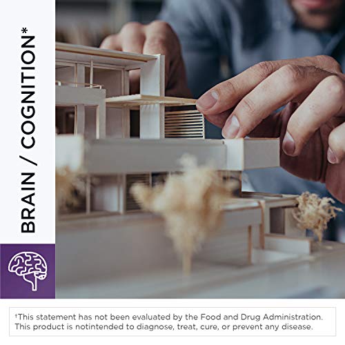 Designs for Health Neurolink LTyrosine, GABA, 5HTP, Inositol