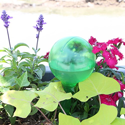 5 Automatic+Watering+Bulb+Gardening+Self+Watering