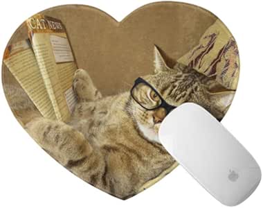 Modelo de pedidos periodicos