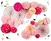 PapaKit Deluxe Origami Large Wall Decoration Set (Assorted Paper Fans & Pom-poms) Birthday Party Baby Shower Wedding Event Decor | Creative Art Design (Sparking Pink Rose Blush, Deluxe 26 Piece Set)