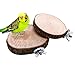 Itemap Pet Parrot Bird Round Wooden Coin Platform Chew Toy for Birdcage Accessories