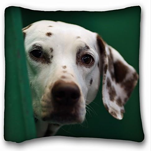 Decorative Square Throw Pillow Case Animals dog dalmatian s face blurring 18"*18" Two Side