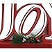 OUCHAN JOY Wooden Table Decor Christmas - Galvanized Christmas Tabletop Display Decorative Word Signs Decorations for Home and Kitchen(JOY)