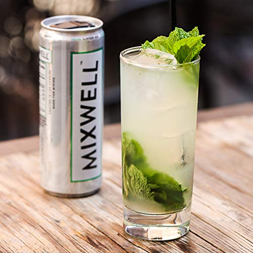 Mixwell Young Ginger Ale Premium Mixer for Drinks Made with Organic