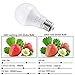 LED Light Bulbs Daylight White, 6 Watt ( 60-Watt Incandescent Bulbs Equivalent) LED Lights, 6400K Daylight White LED Bulbs, Medium Screw Base, 240 Degree Beam Angle LED Home Lighting ( Pack of 4)
