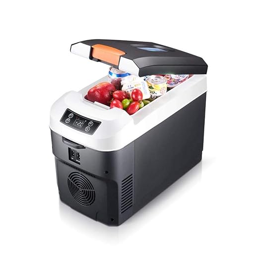 HNFYJQ Mini refrigerador para Autos de 10 litros 12V-220V para ...