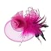 Fascinator Hats Tea Party Hats Mesh Net Head Accessories for Women